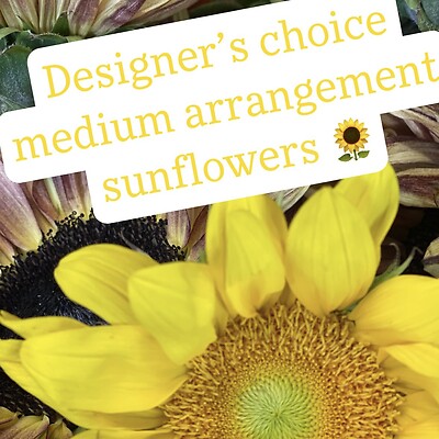 Deluxe Designer&#039;s Choice